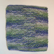 Load image into Gallery viewer, Dishcloth Set - Green &amp; Purple
